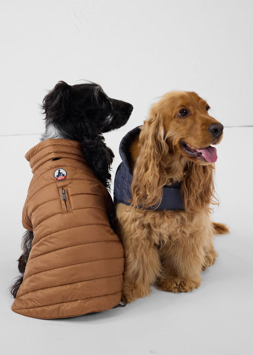 Coat for dogs Bluestone Cutie - JOTT UK - 5