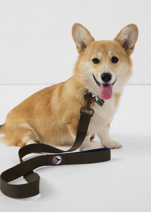 Army Max dog lead - JOTT UK - 2