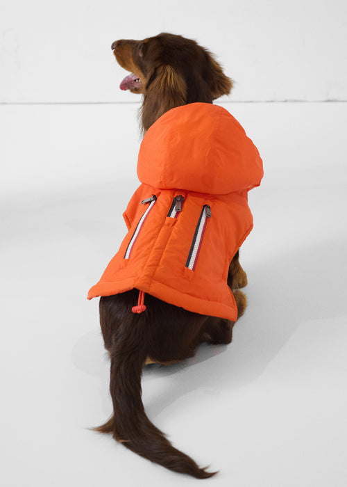 Raincoat for dog Flame red Balto - JOTT UK - 3
