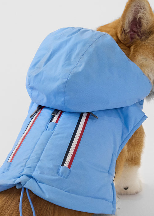 Raincoat for dog Crystal Blue Balto - JOTT UK - 5
