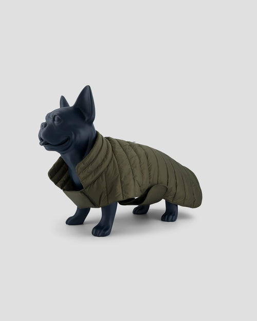 Coat for dogs Army Cutie - JOTT UK - 2