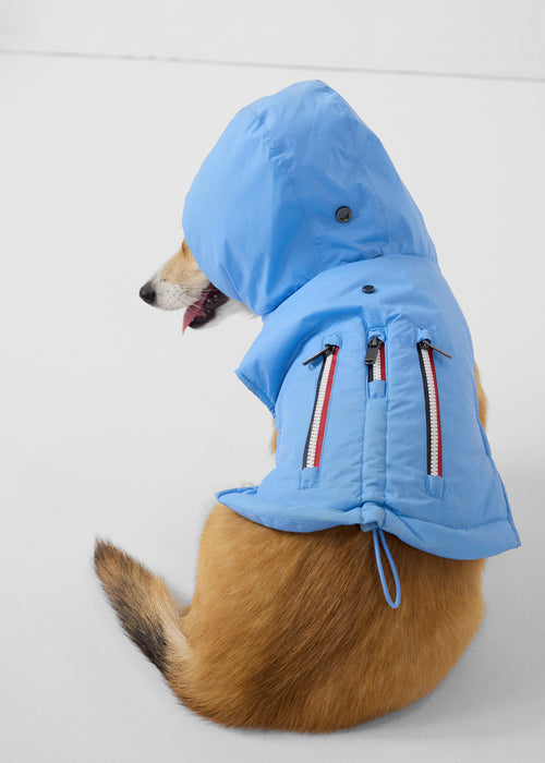 Raincoat for dog Crystal Blue Balto - JOTT UK - 3