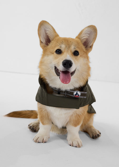 2_CUTIE_AOTH212501-255_11.jpg
