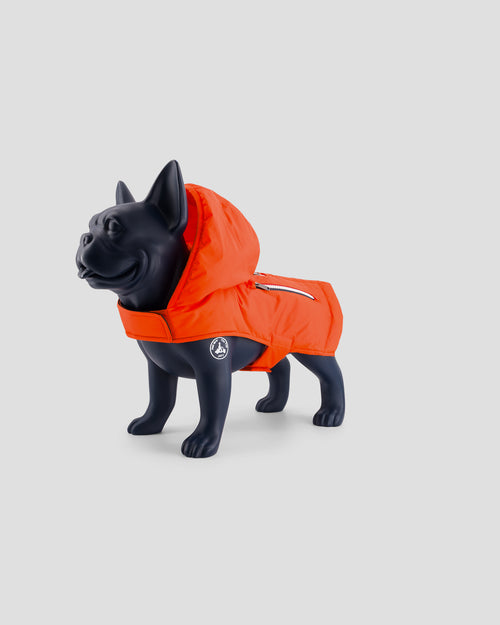 Raincoat for dog Flame red Balto - JOTT UK - 2