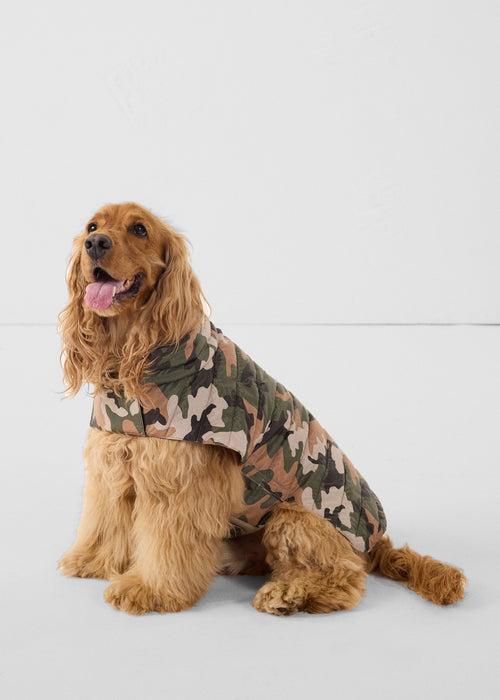 Coat for dogs Brown Sugar Cutie print - JOTT UK - 2