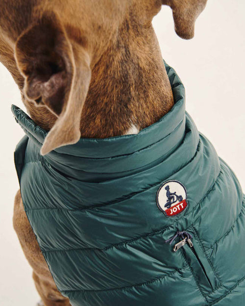 Dark Green Dogs down jacket Woop - JOTT UK - 4