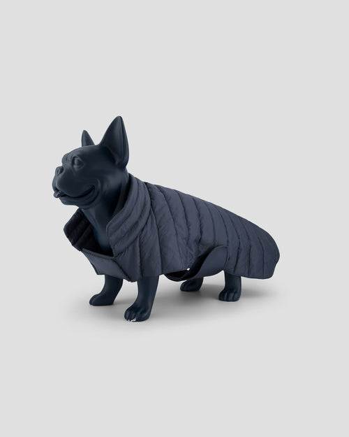 Coat for dogs Bluestone Cutie - JOTT UK - 2