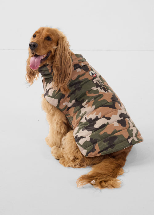 Coat for dogs Brown Sugar Cutie print - JOTT UK - 3