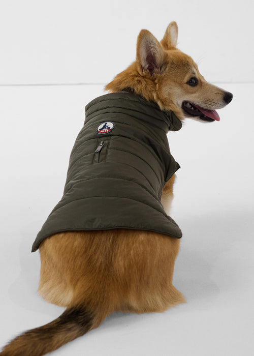 Coat for dogs Army Cutie - JOTT UK - 3