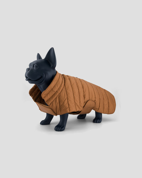 Coat for dogs Brown sugar Cutie - JOTT UK - 2