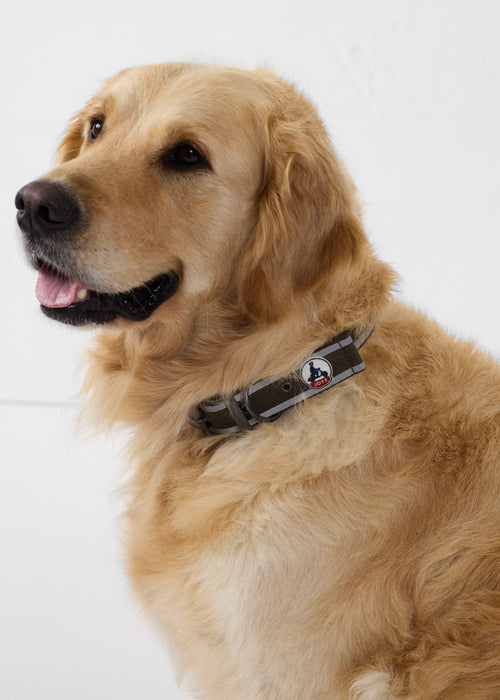 Dog collar Army Pancho - JOTT UK - 2