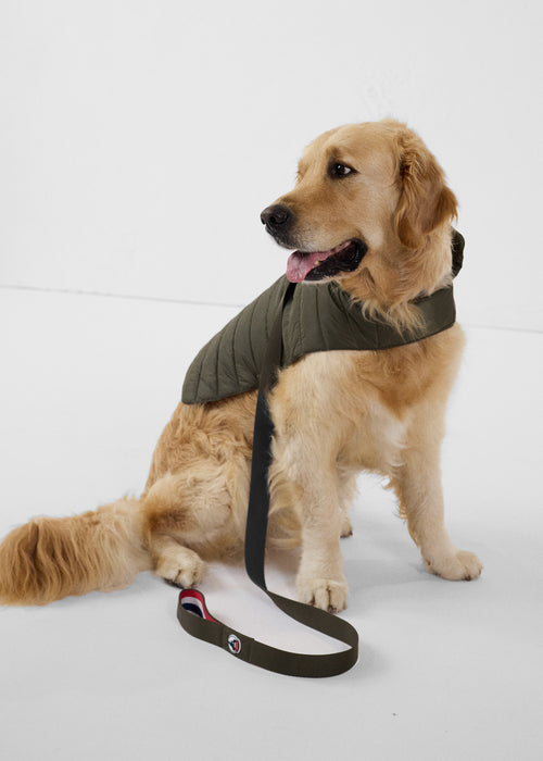 Army Max dog lead - JOTT UK - 3