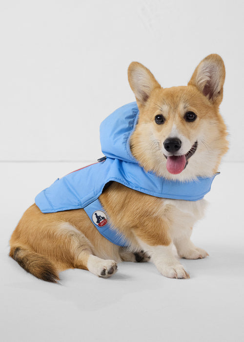 Raincoat for dog Crystal Blue Balto - JOTT UK - 4