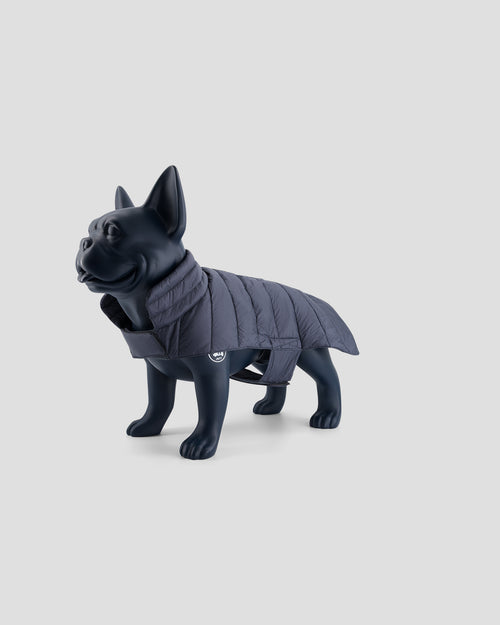 Coat for dogs Bluestone Cutie - JOTT UK - 2