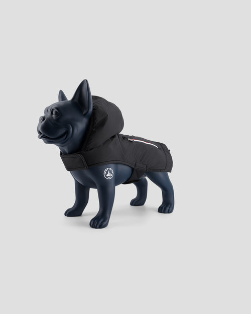 Raincoat for dog Black Balto - JOTT UK - 2