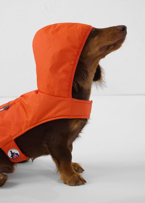 Raincoat for dog Flame red Balto - JOTT UK - 4