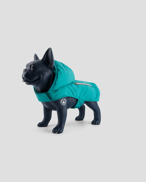 Raincoat for dog Persian Green Balto - JOTT UK - 2