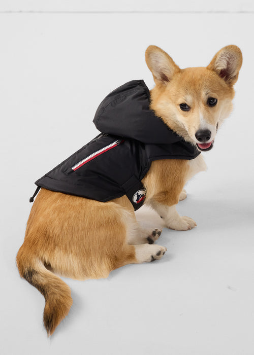 Raincoat for dog Black Balto - JOTT UK - 3