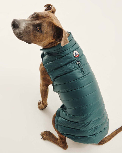 Dark Green Dogs down jacket Woop - JOTT UK - 2