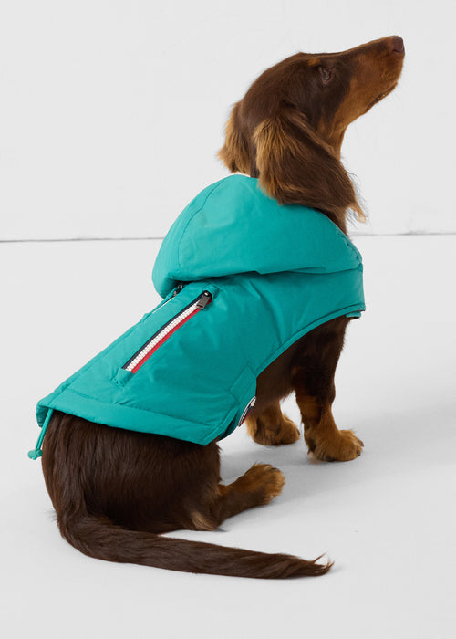 Raincoat for dog Persian Green Balto - JOTT UK - 3