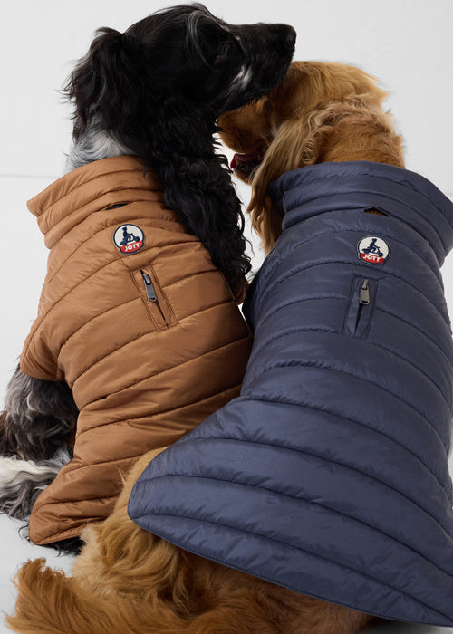Coat for dogs Bluestone Cutie - JOTT UK - 4
