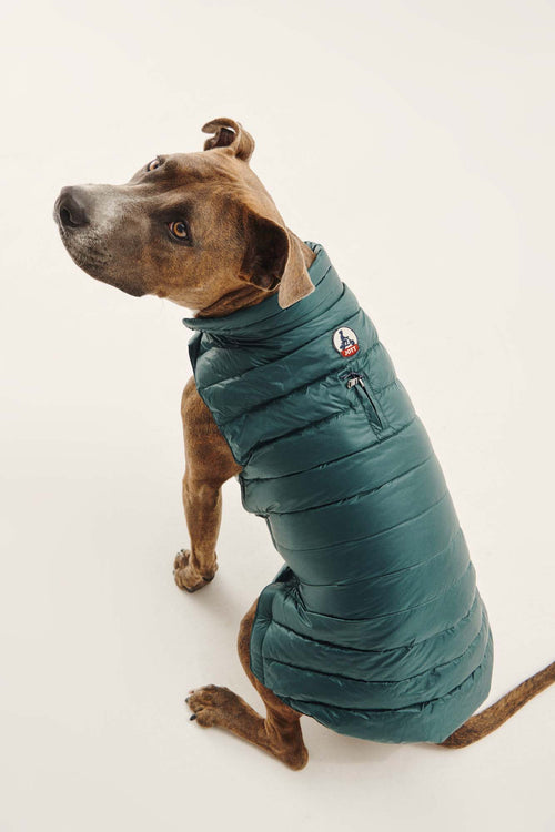 Dark Green Dogs down jacket Woop