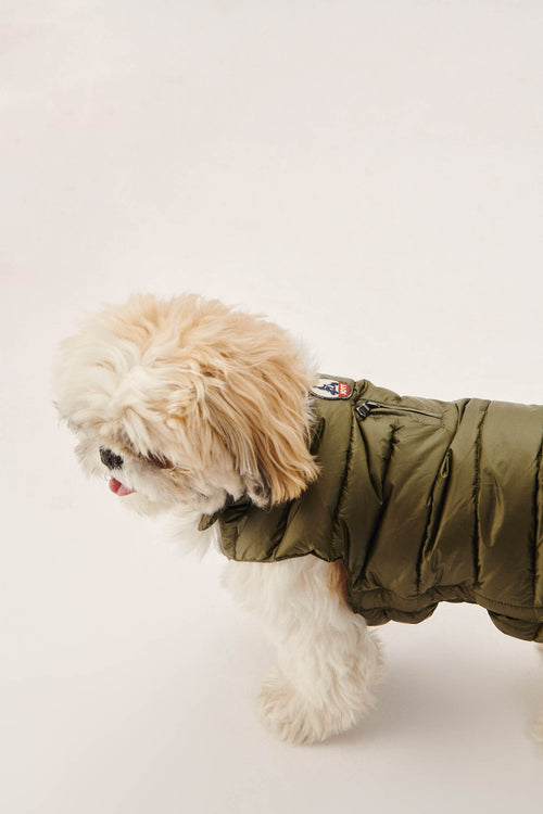 Army Dogs down jacket Woop