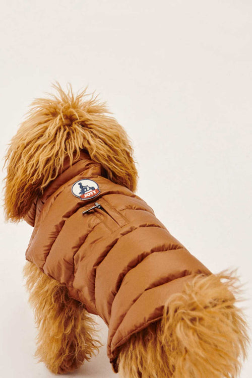 Toffee Dogs down jacket Woop