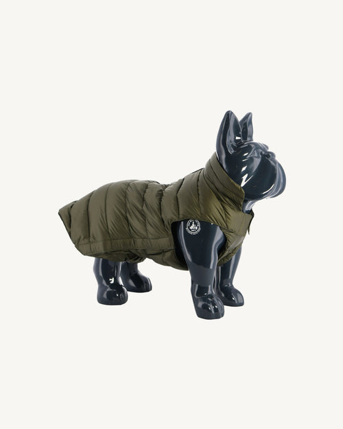 Army Dogs down jacket Woop - JOTT UK - 2