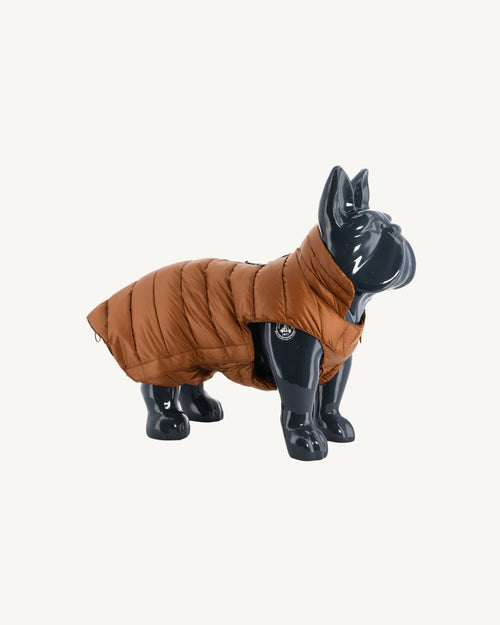 Toffee Dogs down jacket Woop