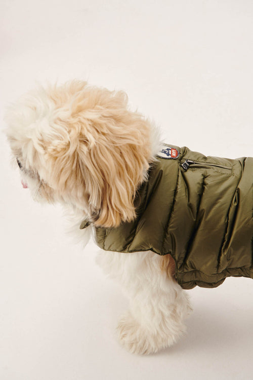 Army Dogs down jacket Woop - JOTT UK - 3