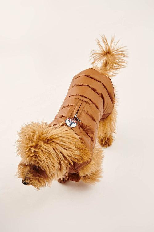 Toffee Dogs down jacket Woop